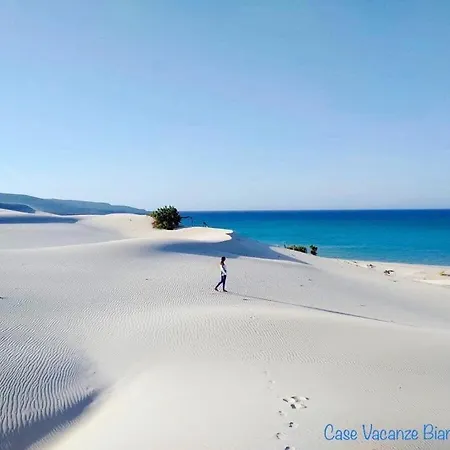 S'incantu 산타나아레시