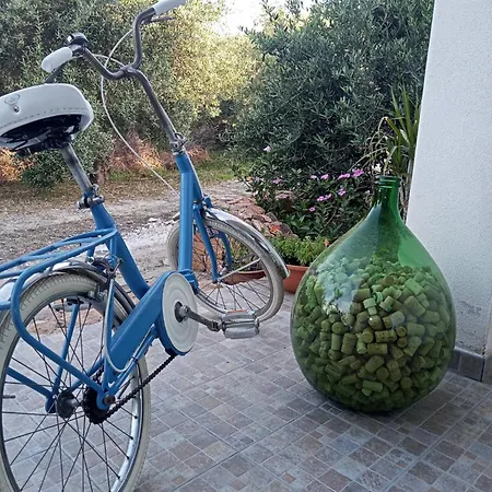 S'incantu 산타나아레시