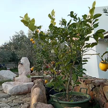 게스트하우스 S'incantu 산타나아레시